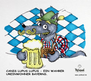Wolfspaare - Wolf in Bayern